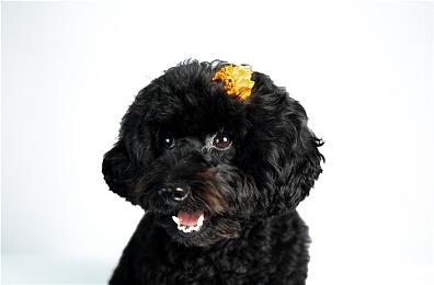 《脑航员2》故事预告片发布 8月25日发售